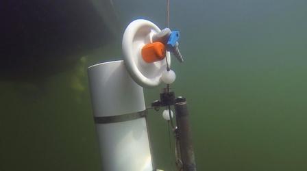 Video thumbnail: Idaho Science Journal Testing Lake Coeur d' Alene