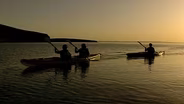 The People of Baja