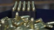 Senate Moves Gun Measures Forward after Governor Veto