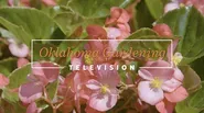 Oklahoma Gardening September 28, 2024