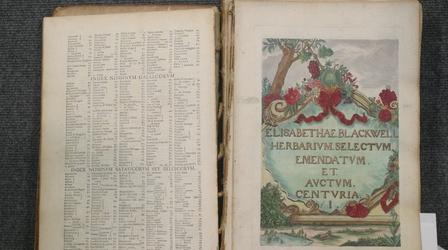 Video thumbnail: Antiques Roadshow Appraisal: 1757 Elizabeth Blackwell Herbal