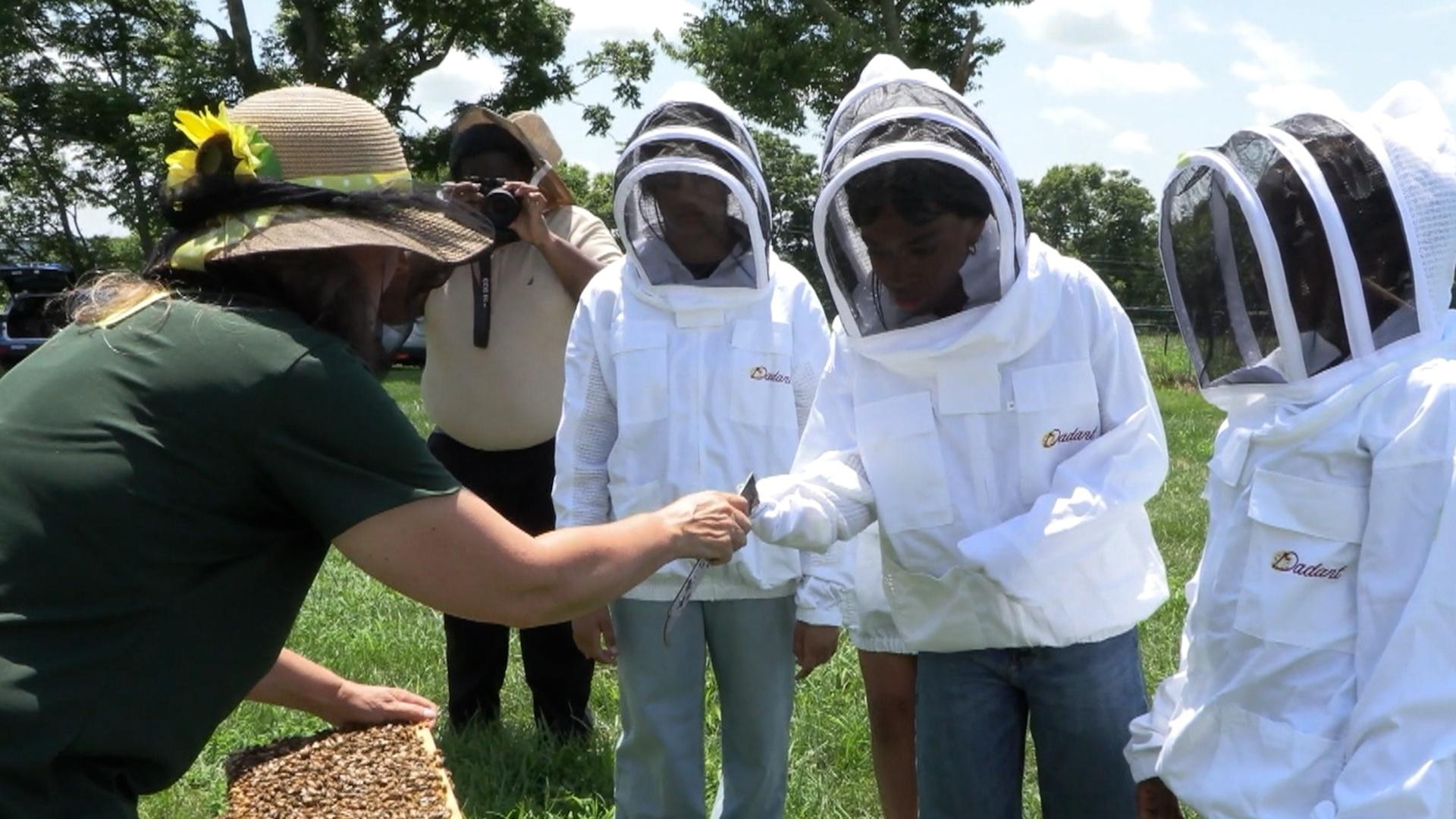 Students Visit Working Apiary to Learn About Bees