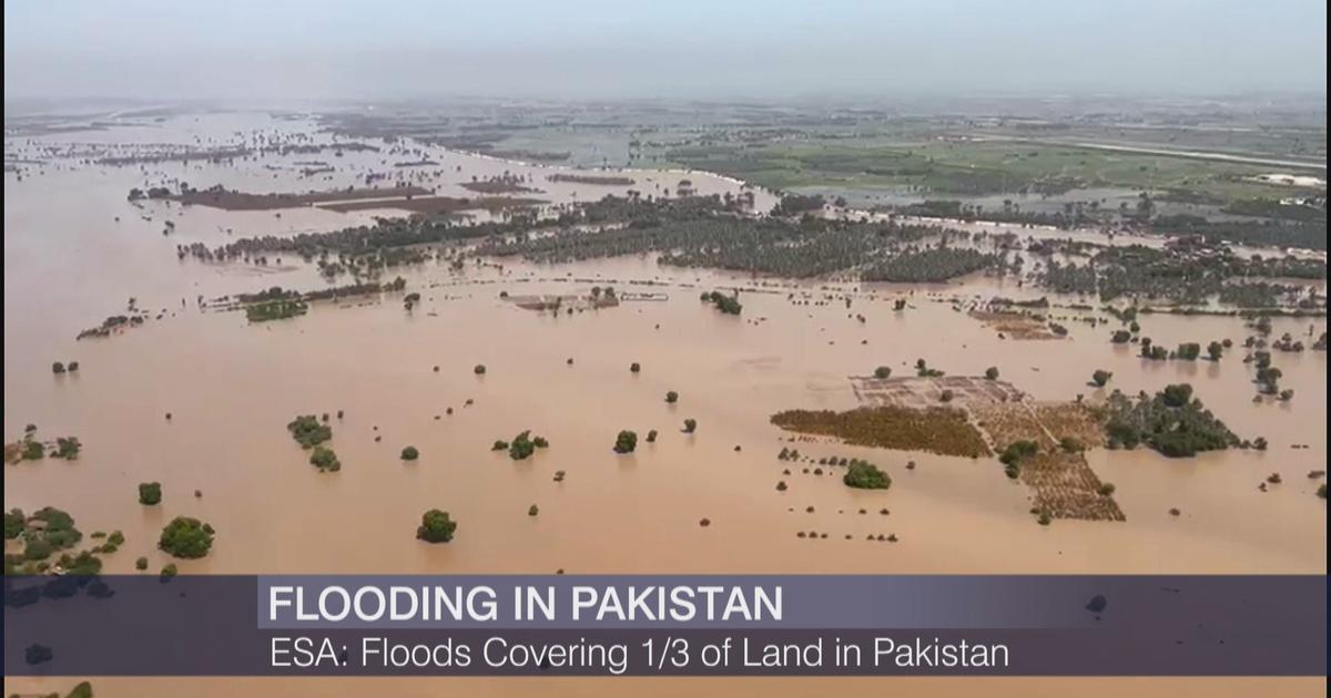 Chicago Tonight At Least 1 343 People Dead In Flood Stricken Pakistan Season 2022 Pbs