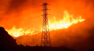 Alarming new report predicts catastrophic global wildfires