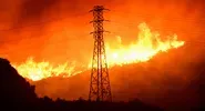 Alarming new report predicts catastrophic global wildfires