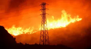 Alarming new report predicts catastrophic global wildfires