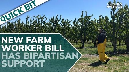 Video thumbnail: Uniquely NW News A New Farm Worker Bill Has Bipartisan Support