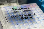 White House pledges more vaccines for monkeypox infections