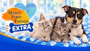 Lonnie, Bonnie and Sissy | Mark's Furry Friends Extra