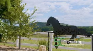 Oklahoma Gardening October 11, 2025