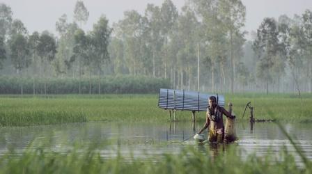 Video thumbnail: Adaptation Floating Gardens of Bangladesh