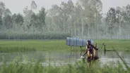 Floating Gardens of Bangladesh