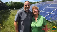 Bee-u-tiful Solar Energy