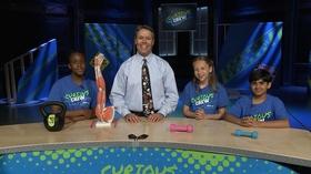 Video thumbnail: Curious Crew Muscular System