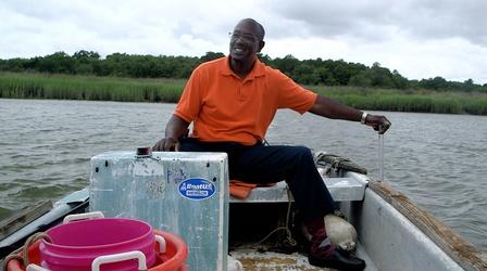 Video thumbnail: NOVA Can South Carolina's Salt Marshes Be Saved?