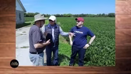 How DigiFarmz Is Using Technology to Help Farmers