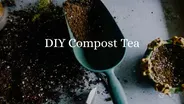 DIY Compost Tea