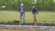Planting an Herb Garden