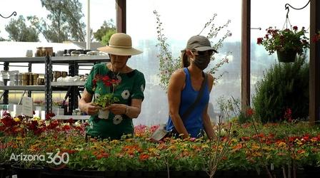 Video thumbnail: Arizona 360 Businesses adapt to the pandemic, help for displaced workers