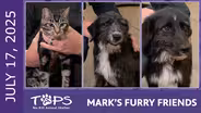 07/17/2025 | Beetlejuice, Dalton and Derek | Mark's Furry Friends