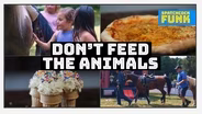 Don't Feed the Animals