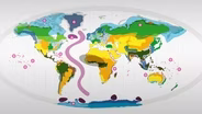 We Just Crossed Our FIRST Tipping Point… And It’s NOT What You Think