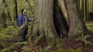 May 5, 2020 - Finding the World’s Biggest and Oldest Trees
