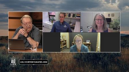 Video thumbnail: Montana Ag Live Montana Grain Growers (No. 5401)