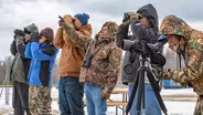Mackinac Straits Raptor Watch