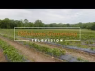 #4930 Crops on the Best of Oklahoma Gardening January 14, 20