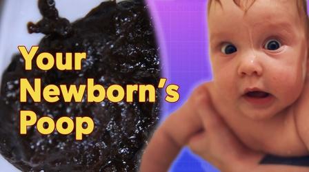 Video thumbnail: Parentalogic Why Does my Newborn’s Poop Look Like That?