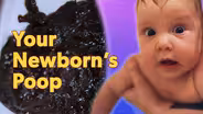 Why Does my Newborn’s Poop Look Like That?