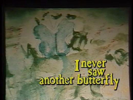 Butterflies