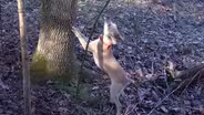 Squirrel Dog; Trappers; Cold Water Crappie Fishing