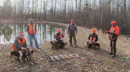 Video thumbnail: Kentucky Afield Swamp Rabbits; Archery Buck Hunt; Fishing with Jim