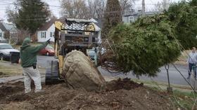 Video thumbnail: PBS NewsHour Louisville study seeks to understand trees' impact on health