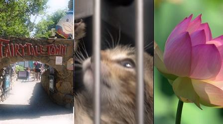 Video thumbnail: Rob on the Road Region Rising – Front Street Animal Shelter