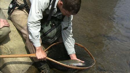 Video thumbnail: Carolina Outdoor Journal Trout Lesson – Rainbow Trout