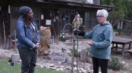 Video thumbnail: Wisconsin Life Angela Visits Pine View Animal Wildlife Rehabilitation Ctr