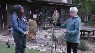 Angela Visits Pine View Animal Wildlife Rehabilitation Ctr