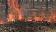 Military program funds wildfire protections in the Pinelands