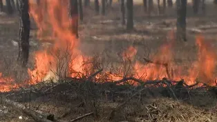 Military program funds wildfire protections in the Pinelands