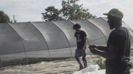 Video thumbnail: ncIMPACT Kamal Bell fights food insecurity by teaching youth to farm.