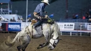 SDF2530 COVID &Sports- Dale Christensen rodeo