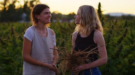 Video thumbnail: Women of the Earth How Two Sisters Are Reviving Damaged Farmland With Hemp