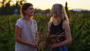 How Two Sisters Are Reviving Damaged Farmland With Hemp