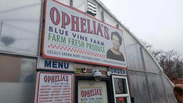 Green Dot Bioplastics and Ophelia's Blue Vine Farm