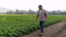 R&R Fresh Herbs: asset-mezzanine-16x9