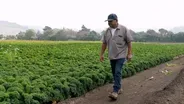 R&R Fresh Herbs