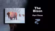 The Bison Part III